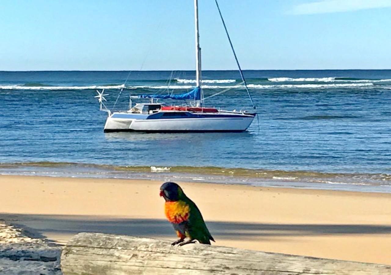 Tuross Beach Cabins & Campsites ターオス・ヘッド エクステリア 写真