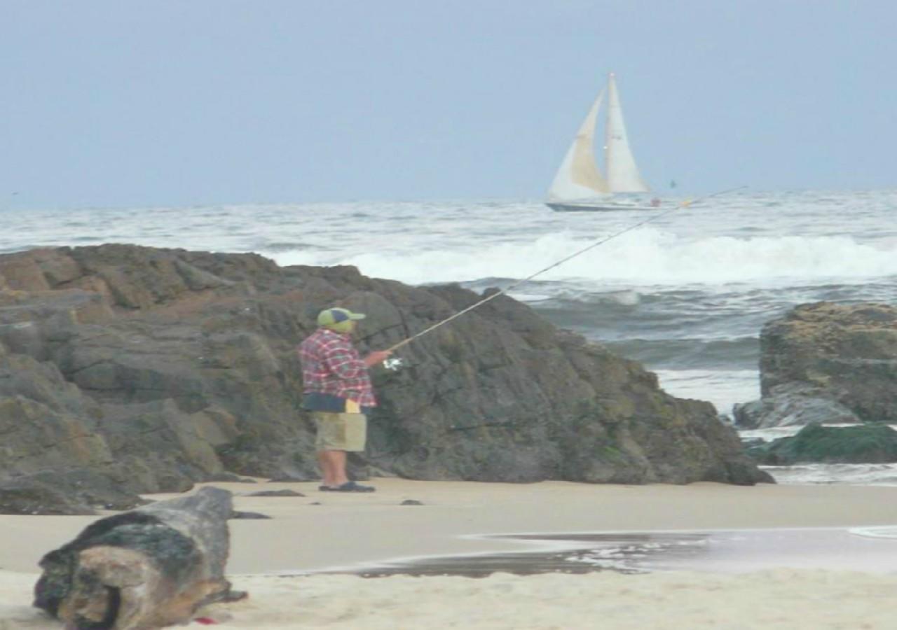 Tuross Beach Cabins & Campsites ターオス・ヘッド エクステリア 写真